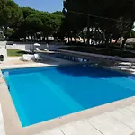 Passarinhos Albufeira