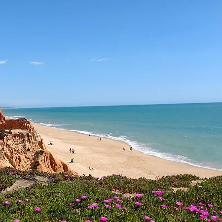 Apartmán Passarinhos Albufeira